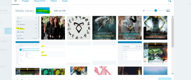 captura galeria 3.PNG